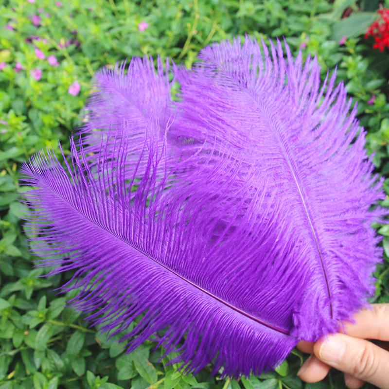 Large 15-20cm Ostrich Feathers for Wedding Arrangements and Stage Props