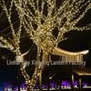 Golden LED USB Battery-Powered String Lights for Christmas and Holiday Decorations