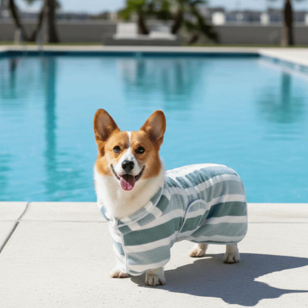 Coral Velvet Dog Bath Robe Quick-Dry Wearable Pet Ultra Absorbent Towel Adjustable Belly Strap Fully Wrapped Soft Bath Wrap
