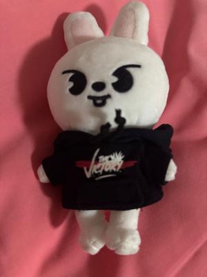 [USED] Stray Kids Leavitt Reno Mini Plush Toy (SKZOO)