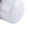 Pinxie LED High-Power Energy-Saving Bulb