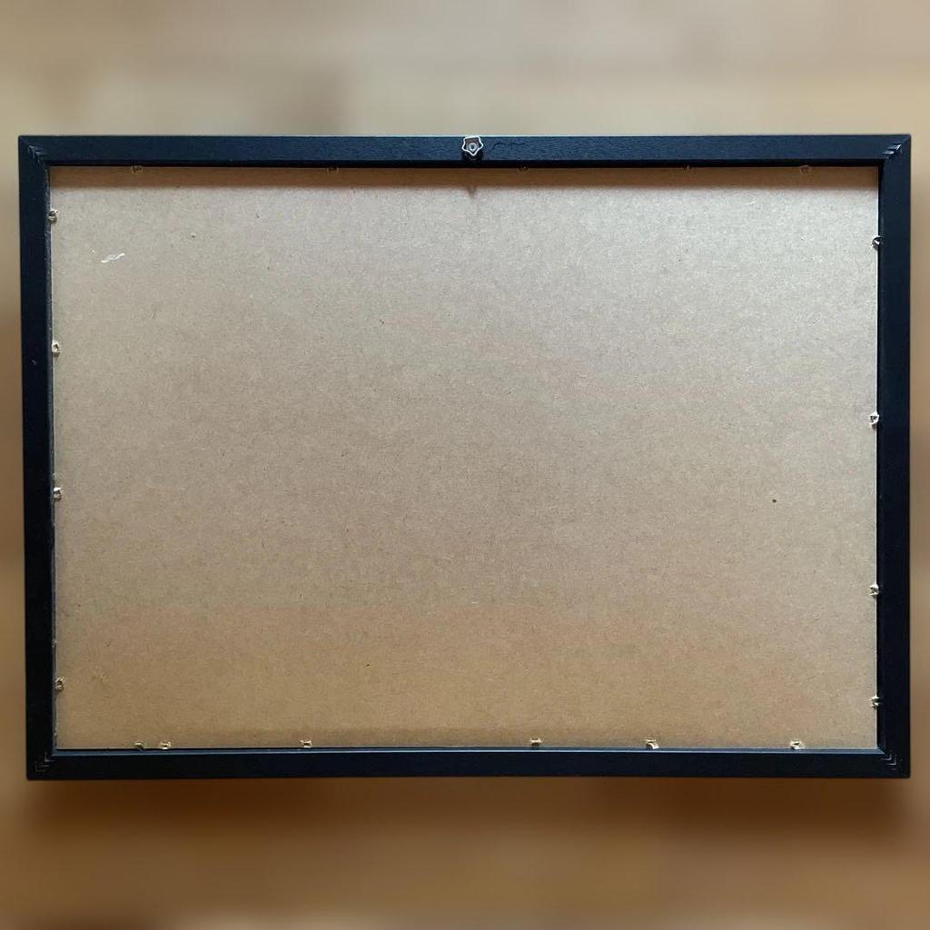 [USED] Rare J-Hope Hoseok Master Merchandise Photo Frame Framed Korea