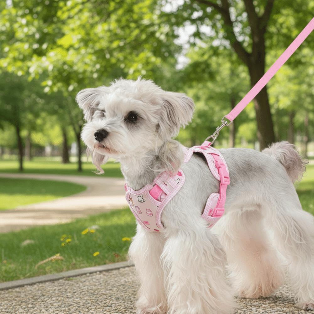 Adjustable Dog Harness Leash Set Cartoon Pattern Breathable Dog Harness Vest Comfort Fit Escape-Proof Pet Walking Rope