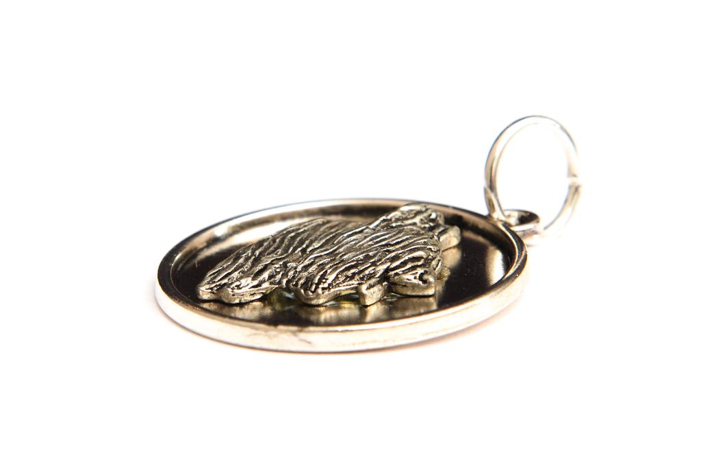 Briard, Berger de Brie – Necklace with a dog, pendant for a dog mom | Art-Dog