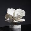 Nordic Coral Ornament: Modern Luxury Decor for Home or Hotel