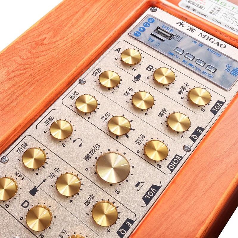 Miga MG-T5 Professional 150W Instrument Speaker System