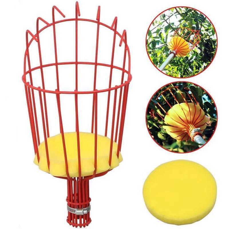 Telescopic Stainless Steel Fruit Picker for Loquat, Peach, Apple, Plum, Persimmon
