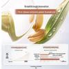 Kangaroo Mommy Wheat Essence Stabilizing Serum