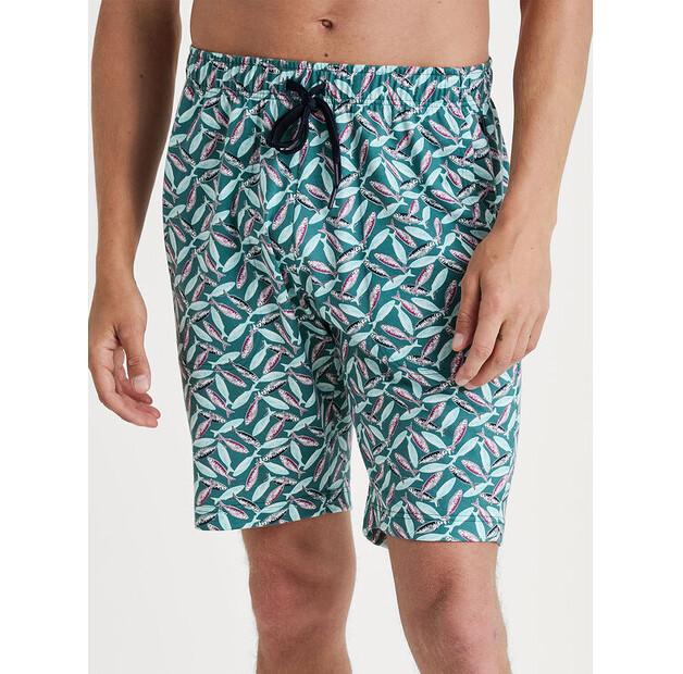 Шорты Calida 27188 EU M