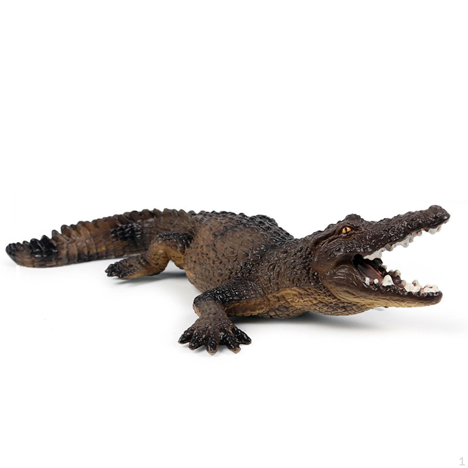 Realistic Crocodile Figurines Desktop Decoration Science Educational Toy Preschool Animals for Brown