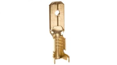 Terminals, Connectors & Accessories – Terminals