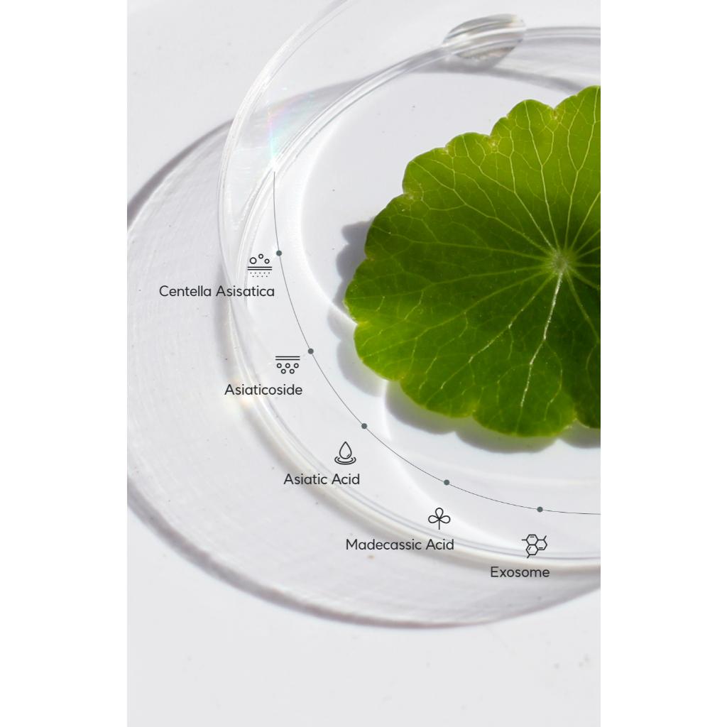 NEUL20s Centelsome 5X Soothing Serum, 50mL