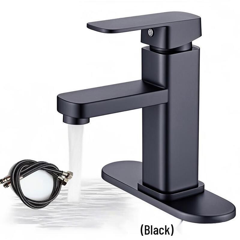 DANLE Black Single Cold Basin Faucet
