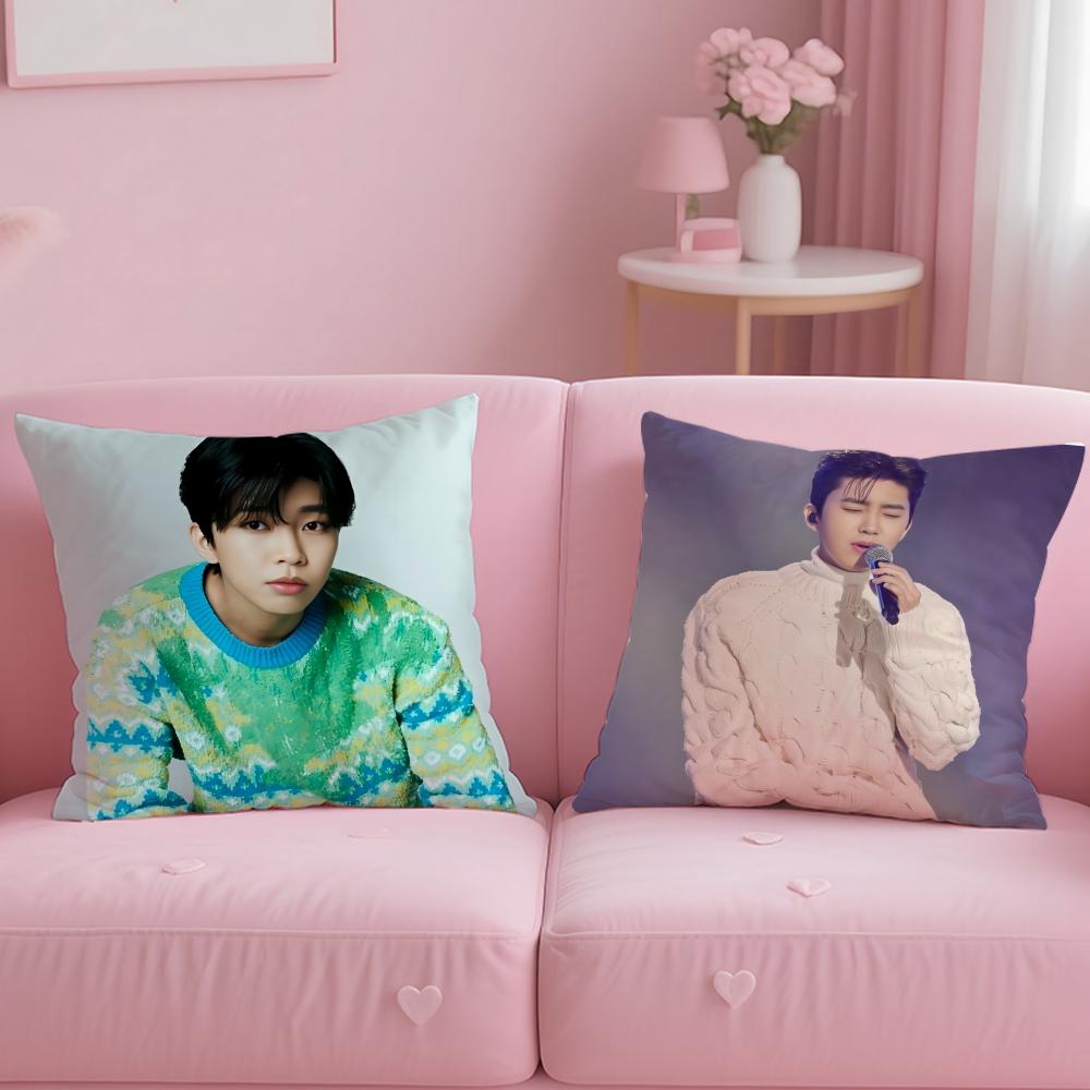 popular singer Lim Young Woong Cushion Cover Soft & Easy-Wash Pillow Case – Versatile for Couch, Bed, Travel and Office