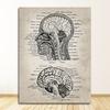 Vintage Human Head And Brain Anatomy Poster Neuroscience Human Anatomy Painting Doctors Office Wall Art Decor Canvas Art Prints