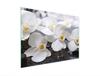 GLAS-SCHNEIDEBRETT 30x22 ORCHIDEE