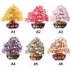 Decorative Tree Beautiful Bonsai Money Tree Decoration Ornament for Wealth and Luck for Home