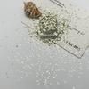 1mm Iridescent Star Nail Art Sequins - DIY Decorations