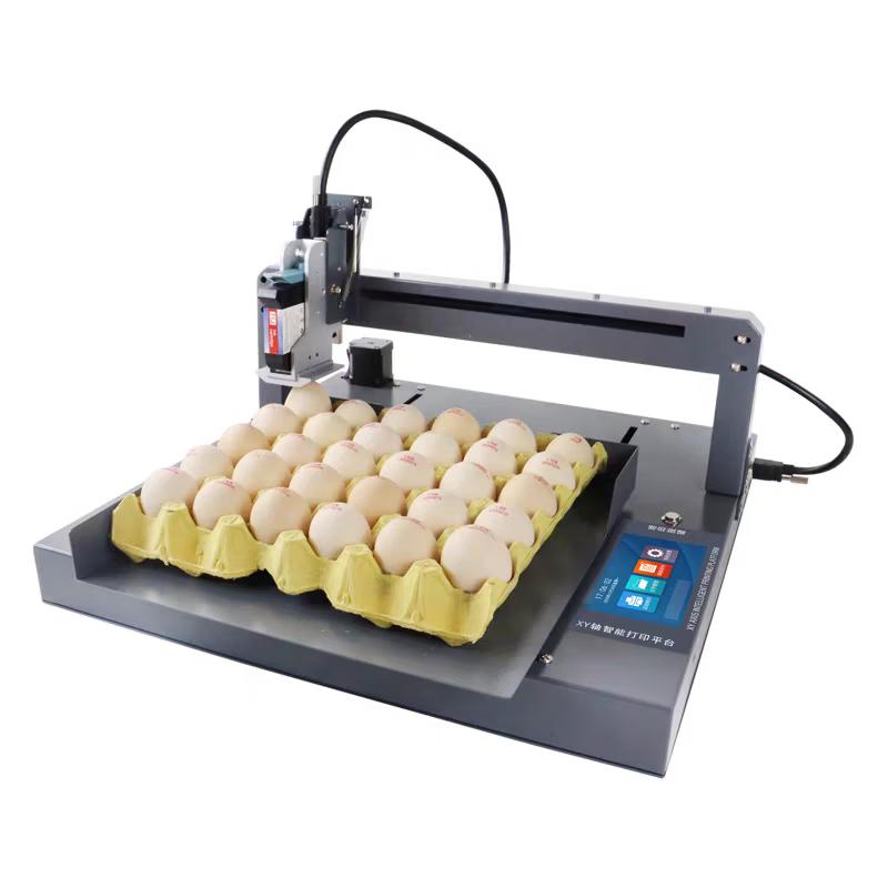 DH Donghui 660-6 Automatic Egg Inkjet Printer