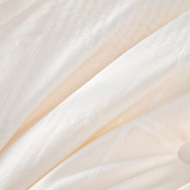 HMHM Cloud-feel Warm Core Soybean Quilt