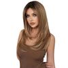 Women’s Daily Wear Lace Front Synthetic Full Wig Fashion Layered Straight Wig with Blonde Highlights