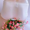 Japanese Lolita Male Panties Sissy Lingerie Sweet Men Ruffle Edge Briefs Lace Frilly Underpants See Through Crossdress Underwear