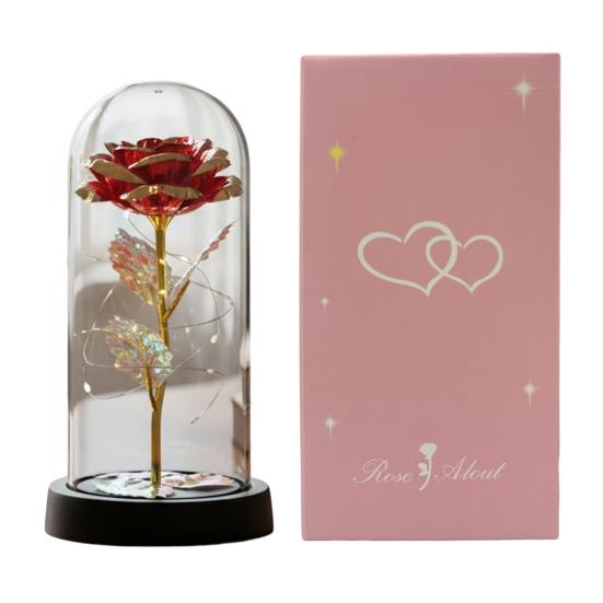 Preserved Rose in Dome with LED Light Artificial Eternal Rose Flower Gifts for Her Mom Women Valentine's Day Mother's Day Christmas Birthday Gift