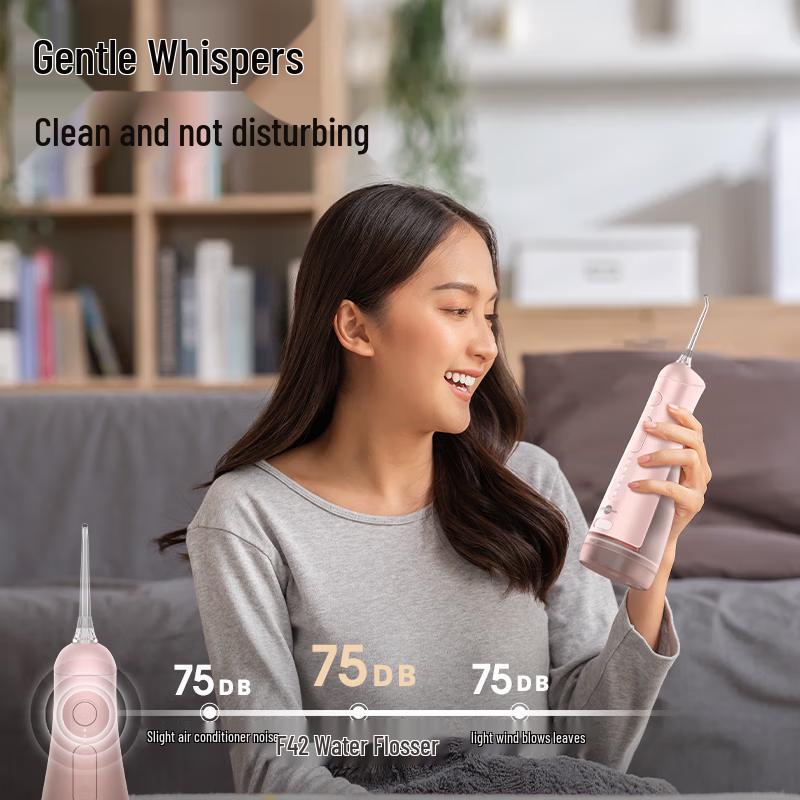 prooral F42 Handheld and Stand Water Flosser