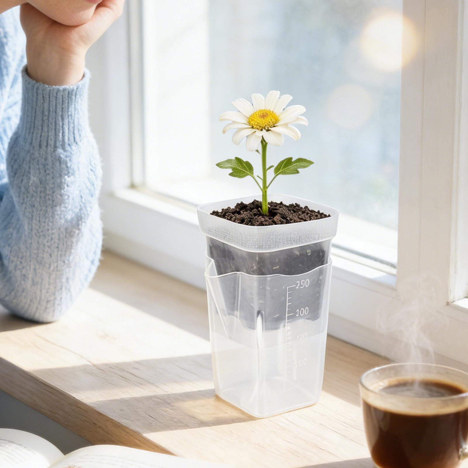 

12 шт. Самополивающиеся цветочные горшки Пластиковый горшок для растений с куполом для влажности Прозрачный горшок для посадки цветов Садовые аксессуары CN