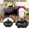 Automatic Feeder Water Bowl Turtles Corner Dish Water Dispenser Bottle for Bearded Dragon Snake