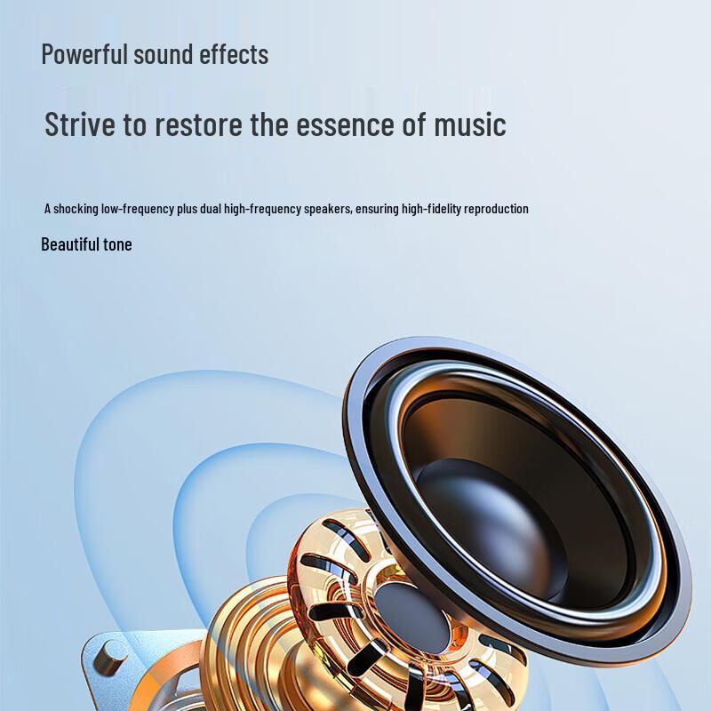HuiDu Professional 10-inch HIFI Conference Audio Speaker (CN version)