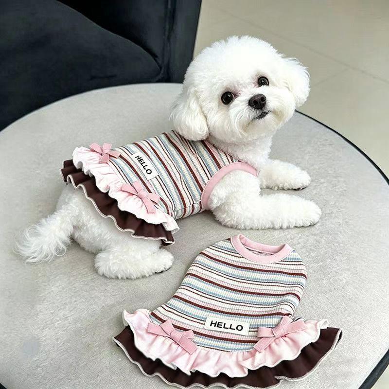 Dog clothes Autumn and winter rainbow striped dress Bigbear cat teddy Pomeranian small dog velvet pet vest