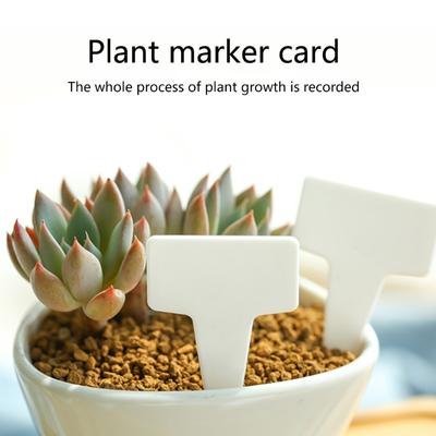 200pcs Plant Labels T-Type Plant Name Tags Garden Labels Markers Nursery Tags for Outdoor Garden Waterproof Plant Stakes