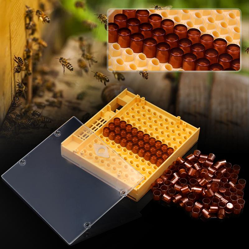 

1Set Apiculture Kit Nicot Queen Bee Rearing Plastic Graft Larva Pen Hair Roller Cage Cell Protection Beekeeping Tool Supplies
