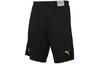 PUMA Casual Shorts Men's Black Thin 753497-12