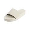Indosol Platform Slide   Sea Salt