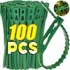100Pcs Reusable Plant Cable Ties Plant Stem Clip  For Plants Vine Shrubs Support Fastener Organizer