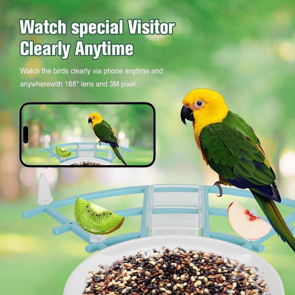 Bird Feeder with Camera AI Identify Birds Species Solar Powered Auto Record Videos in Backyard Instant Notifications Bird Lovers