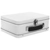 Handige Grote Capaciteit Witte Blikken Doos Blikken Souvenir Opbergdoos Sieraden Organizer Bureau Diversen Draagtas Blikken Draagdoos