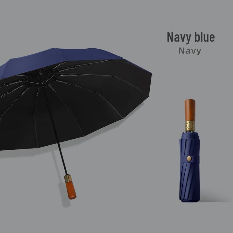 Xuqing Automatic 12-Rib UV Travel Umbrella