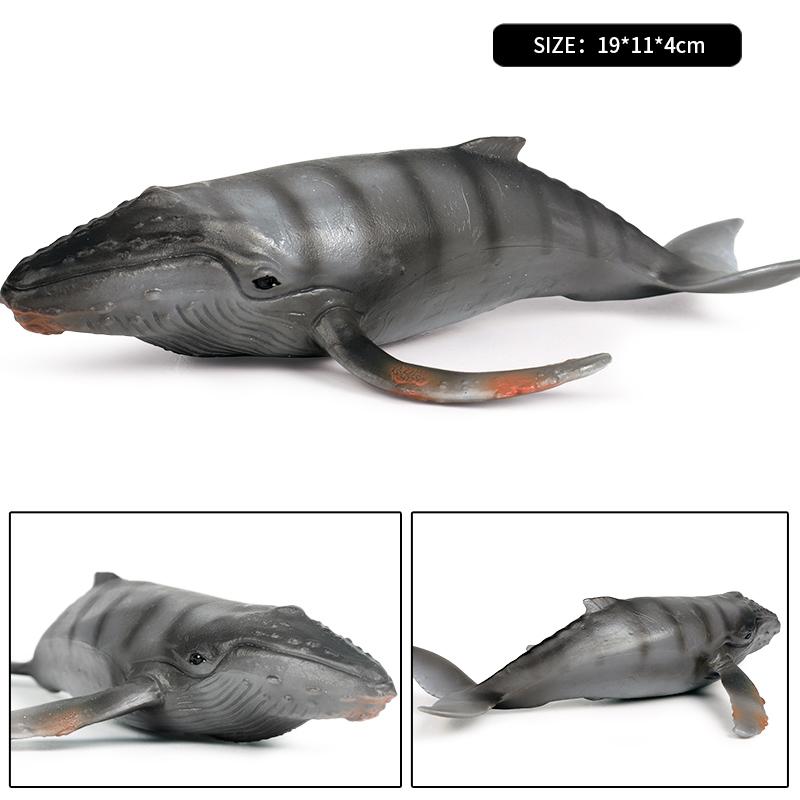 Oenux Ocean Animal Savage Megalodon Beluga Big Shark Orca Sperm Blue Whale Action Figures Sea Life Model Educational Kids Toy