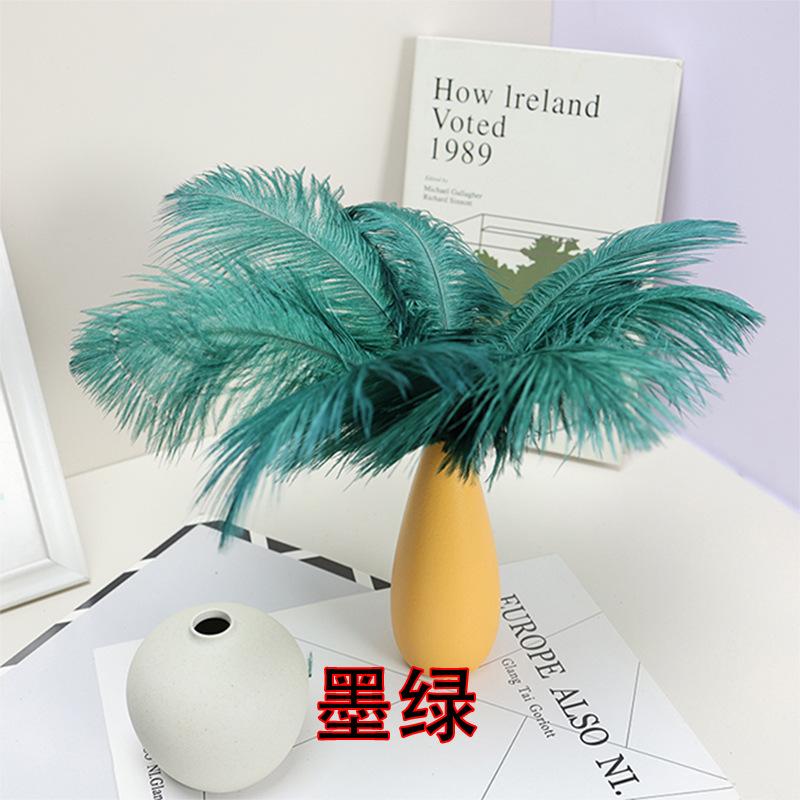 10 STÜCKE 20-25Cm Straußenfeder Bühnenauftritt Feder Handgefertigt DIY Schmuck Dekomaterial Straußenhaar