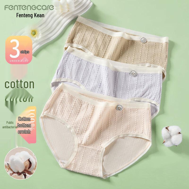 FENTENGCARE Women's 7A Antibacterial Cotton Briefs 3-Pack