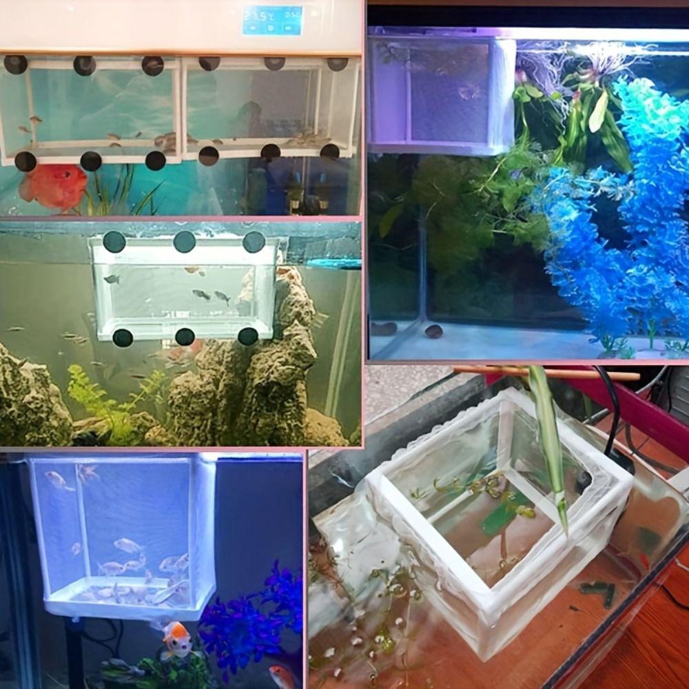 Hanging Fish Breeding Breeder Box Aquarium Fish Tank Incubator  Baby Fishes Shrimp