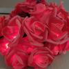 LED Rose String Lights - Bedroom Decoration & Wedding Proposal Props