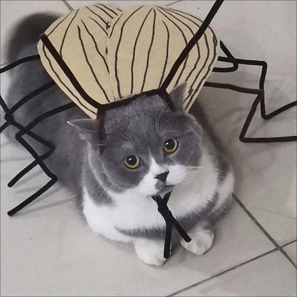 Cartoon Cat Cosplay Cockroach Costume Creative Cat Transformation Costume  Pet Supplies