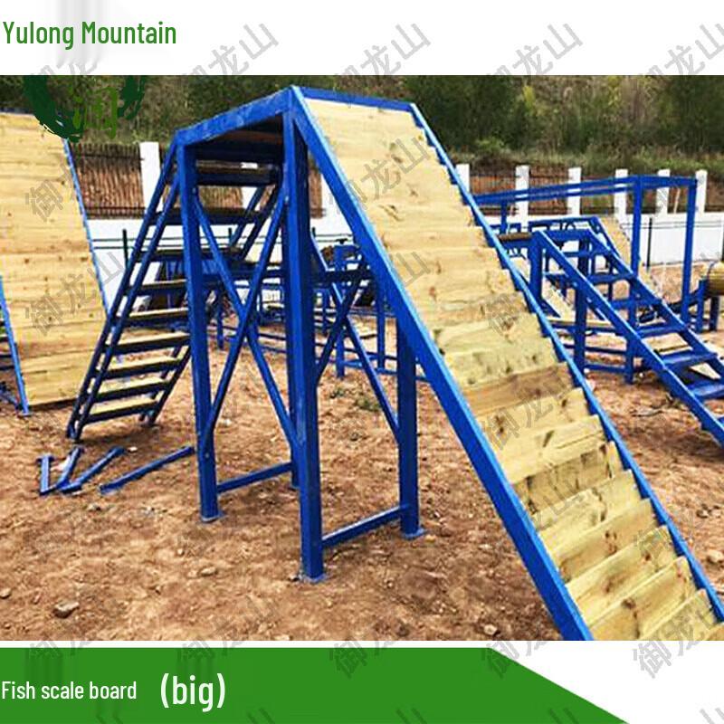 Dog Training Fish Scale Board