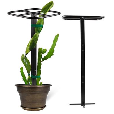 Drachenfrucht Spalier Metall Rankhilfe Spalier Verstellbare Gartenstütze Pflanzenkletterhilfe