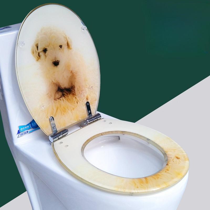 

JIABINFU Toilet Seat will Slowly Close and Never Loosen, Long Lasting Solid Resin, Removes Easy for Cleaning, Easy to Install