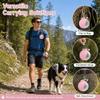 2-in-1 Tragbare Hundewasserflasche, Hundewasserflaschen für Spaziergänge und Reisen, 285ML Edelstahl Hundetrinkflasche & Silikonschale